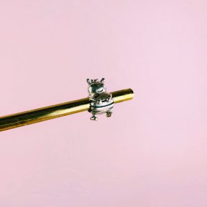 Charm - Regina Vermi