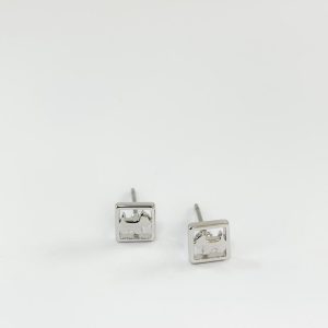 Aretes Mini Cajón Canino